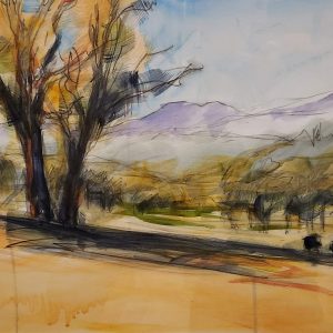 Cows at Middlebrook Station Scone