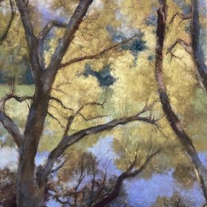 Reflected Trees and Sky