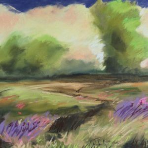 Light Falling Softly