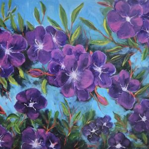 Tibouchina Flowers